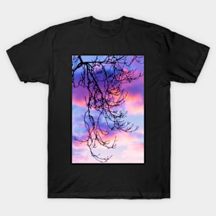 Ash Tree Sunset Silhouette T-Shirt